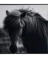 Pack de 2 Lienzo j/2 horse