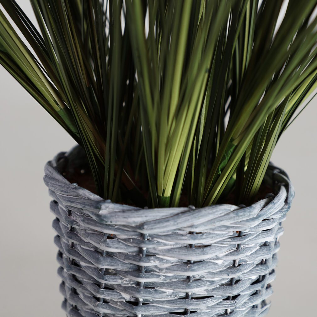 Pack de 2 Planta Plástico Colonial 20x20x66