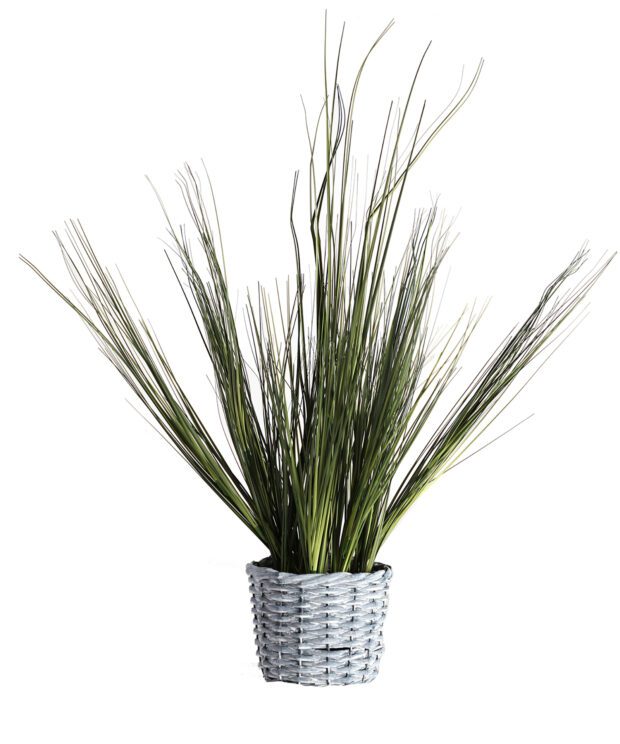 Pack de 2 Planta Plástico Colonial 20x20x66